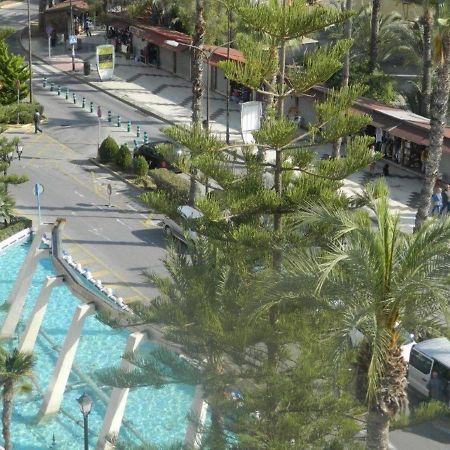 Primera Linea Con Vistas Fabulosas 托雷维耶哈 外观 照片