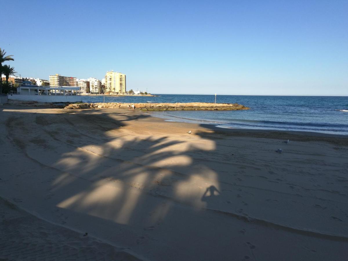 Primera Linea Con Vistas Fabulosas 托雷维耶哈 外观 照片